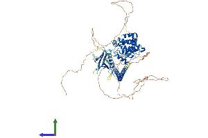 Protein Structure (PS) image for rho GTPase Activating Protein 22 (ARHGAP22) (AA 1-698) protein (His tag) (ABIN7555228)