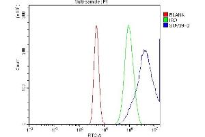 Flow Cytometry analysis of A431 cells using anti-KMT1B/SUV39H2 antibody (ABIN7602135). (SUV39H2 抗体  (AA 6-410))