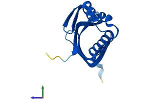 Protein Structure (PS) image for Nuclear Transport Factor 2 (NUTF2) (AA 1-127) protein (His tag) (ABIN7549993)