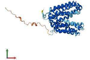 Protein Structure (PS) image for Solute Carrier Family 16, Member 13 (Monocarboxylic Acid Transporter 13) (SLC16A13) (AA 1-428) protein (His tag) (ABIN7559279)