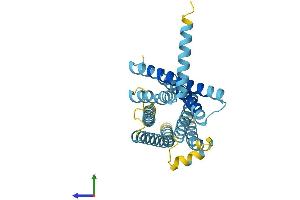 AlphaFold protein structure predicition of Mouse Recombinant Tas2r136 Protein, UniprotID Q7TQA8 (TAS2R136 Protein (AA 1-305) (His tag))