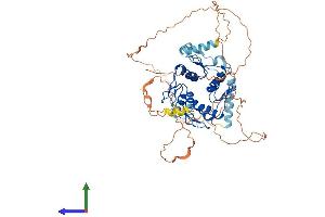 Protein Structure (PS) image for Zinc Finger Protein 205 (ZNF205) (AA 1-554) protein (His tag) (ABIN7545538)
