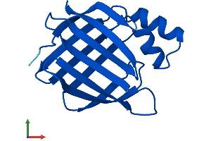 Protein Structure (PS) image for Cellular Retinoic Acid Binding Protein 2 (CRABP2) (AA 1-138) protein (His tag) (ABIN7551230)