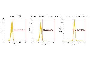 Flow Cytometry (FACS) image for anti-Stanniocalcin 2 (STC2) (AA 25-302) antibody (APC) (ABIN5566189) (Stanniocalcin 2 抗体  (AA 25-302) (APC))