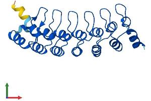 Protein Structure (PS) image for Proteasome (Prosome, Macropain) 26S Subunit, Non-ATPase, 10 (PSMD10) (AA 1-226) protein (His tag) (ABIN7555074)