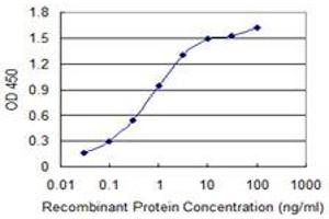 Detection limit for recombinant GST tagged MRLC2 is 0. (MYL12B 抗体  (AA 73-172))