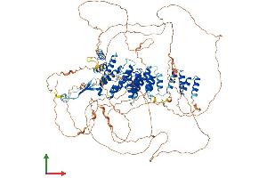 Protein Structure (PS) image for SEC16 Homolog B (SEC16B) (AA 1-1051) protein (His tag) (ABIN7564816)