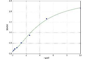 A typical standard curve