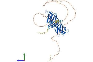 AlphaFold protein structure predicition of Human Recombinant HNRNPA2B1 Protein, UniprotID P22626