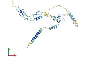 Protein Structure (PS) image for Zinc Finger, AN1-Type Domain 2B (ZFAND2B) (AA 1-257) protein (His tag) (ABIN7545727)