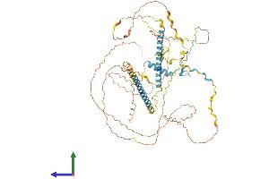 Protein Structure (PS) image for FIP1 Like 1 (FIP1L1) (AA 1-594) protein (His tag) (ABIN7553921)