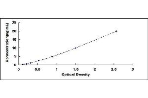 Typical standard curve (CYP2D6 ELISA 试剂盒)