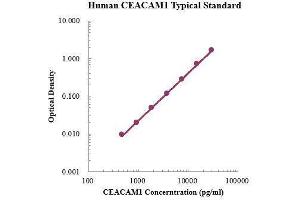 Carcinoembryonic Antigen-Related Cell Adhesion Molecule 1 (CEACAM1) ELISA Kit