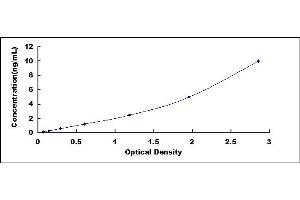 Typical standard curve (DARC ELISA 试剂盒)