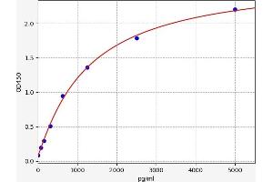 Typical standard curve (PREX2 ELISA 试剂盒)