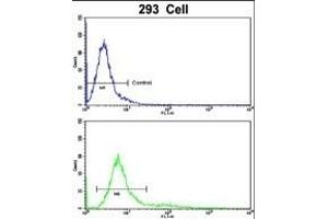 Flow cytometric analysis of 293 cells using RAB13 Antibody (Center)(bottom histogram) compared to a negative control cell (top histogram). (RAB13 抗体  (AA 109-137))