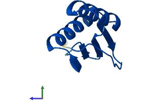 AlphaFold protein structure predicition of Human Recombinant DYNLL2 Protein, UniprotID Q96FJ2
