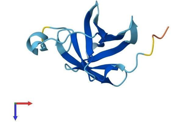 MTCP1 Protein (AA 1-107) (His tag)