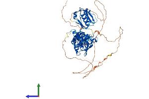 Protein Structure (PS) image for Sex Comb On Midleg Homolog 1 (SCMH1) (AA 1-660) protein (His tag) (ABIN7545893)