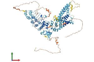 Protein Structure (PS) image for Transient Receptor Potential Cation Channel, Subfamily V, Member 4 (TRPV4) (AA 1-871) protein (His tag) (ABIN7555885)