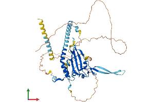 Protein Structure (PS) image for Nucleosome Assembly Protein 1-Like 2 (NAP1L2) (AA 1-460) protein (His tag) (ABIN7549915)