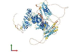 Protein Structure (PS) image for Diacylglycerol Kinase, delta 130kDa (DGKD) (AA 1-1214) protein (His tag) (ABIN7553644)