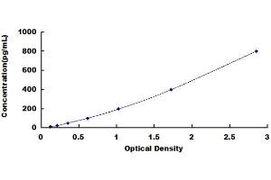Typical Standard Curve (BPI ELISA 试剂盒)