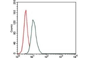 Flow Cytometry (FACS) image for anti-Hyaluronan Synthase 3 (HAS3) antibody (ABIN1107625) (HAS3 抗体)