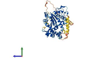 Protein Structure (PS) image for Carbohydrate (Chondroitin 6) Sulfotransferase 3 (CHST3) (AA 1-479) protein (His tag) (ABIN7553468)