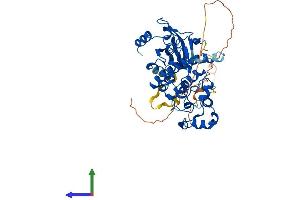 Protein Structure (PS) image for Cyclin-Dependent Kinase 8 (CDK8) (AA 1-464) protein (His tag) (ABIN7553064)