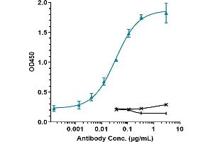Immobilized human TGFb1 His at 2 μg/mL can bind Anti-TGFb1 Reference Antibody (SRK181), EC50=0.