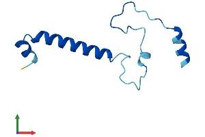 Protein Structure (PS) image for Chromosome 15 Open Reading Frame 48 (C15ORF48) (AA 1-83) protein (Fc Tag) (ABIN7558478)