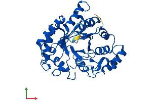AlphaFold protein structure predicition of Mouse Recombinant Akr1c18 Protein, UniprotID Q8K023