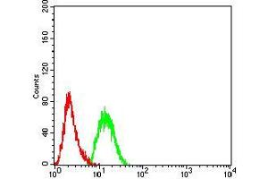 Flow Cytometry (FACS) image for anti-DNA (Cytosine-5-)-Methyltransferase 3 alpha (DNMT3A) (AA 46-180) antibody (ABIN5542516)