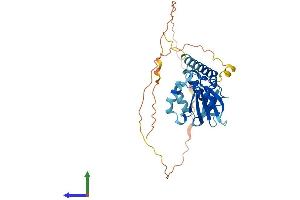 Protein Structure (PS) image for BCL2/adenovirus E1B 19kDa Interacting Protein 2 (BNIP2) (AA 1-326) protein (His tag) (ABIN7562448)