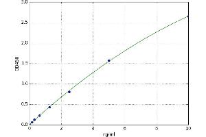 Neural Cell Adhesion Molecule 2 (NCAM2) ELISA Kit