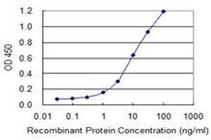 Detection limit for recombinant GST tagged MGEA5 is 0. (MGEA5 抗体  (AA 823-916))