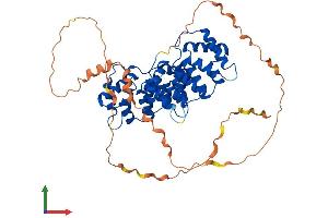 Protein Structure (PS) image for Annexin A11 (ANXA11) (AA 1-505) protein (His tag) (ABIN7552253)