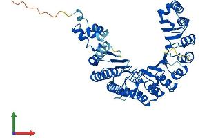 AlphaFold protein structure predicition of Human Recombinant FBXO39 Protein, UniprotID Q8N4B4