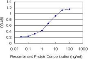 Detection limit for recombinant GST tagged AKAP13 is approximately 0. (AKAP13 抗体  (AA 1-110))