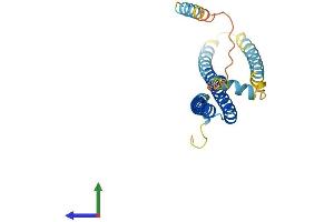 AlphaFold protein structure predicition of Mouse Recombinant Chmp2a Protein, UniprotID Q9DB34
