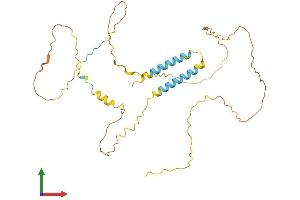 Protein Structure (PS) image for Bartter Syndrome, Infantile, with Sensorineural Deafness (Barttin) (BSND) (AA 1-320) protein (His tag) (ABIN7552685)