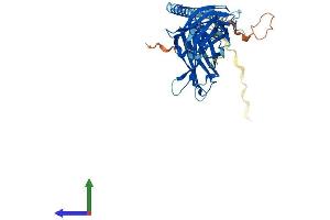 AlphaFold protein structure predicition of Mouse Recombinant Syt5 Protein, UniprotID Q9R0N5