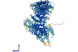 AlphaFold protein structure predicition of Human Recombinant RANBP17 Protein, UniprotID Q9H2T7