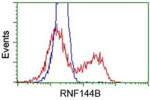Image no. 2 for anti-Ring Finger Protein 144B (RNF144B) (AA 1-256) antibody (ABIN1490651) (RNF144B 抗体  (AA 1-256))