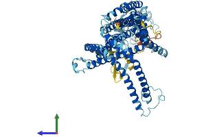 Protein Structure (PS) image for Solute Carrier Family 44, Member 2 (SLC44A2) (AA 1-706) protein (His tag) (ABIN7553602)