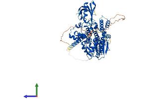 AlphaFold protein structure predicition of Mouse Recombinant Mtmr7 Protein, UniprotID Q9Z2C9