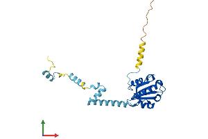 Protein Structure (PS) image for Phosducin-Like 2 (PDCL2) (AA 1-240) protein (His tag) (ABIN7558183)