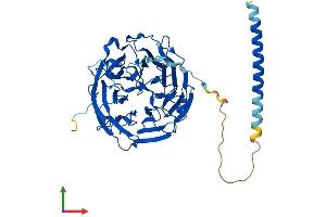 Protein Structure (PS) image for Coronin, Actin Binding Protein, 1C (CORO1C) (AA 1-474) protein (His tag) (ABIN7546640)