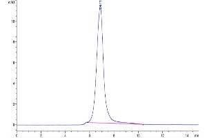 Size-exclusion chromatography-High Pressure Liquid Chromatography (SEC-HPLC) image for Podocalyxin-Like 2 (PODXL2) (AA 29-499) protein (His tag) (ABIN7275473)